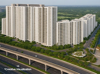 DLF Camellias